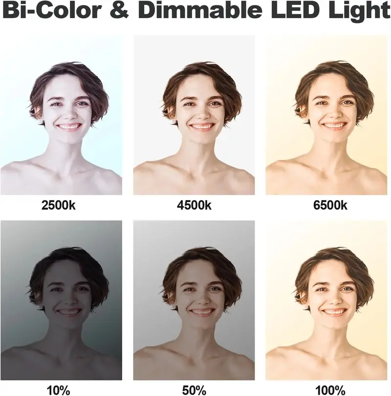D50 Bi-Color LED Video Light Panel – 15.4" Dimmable Studio Light Set (2-Pack), 3000K–8000K, CRI 96+, 45W per Unit